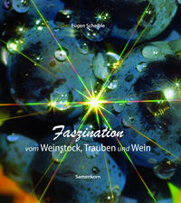 Faszination vom Weinstock, Trauben und Wein