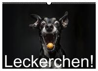 Leckerchen! (Wandkalender 2026 DIN A3 quer), CALVENDO Monatskalender
