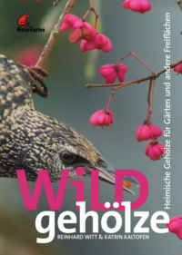 Wildgehölze