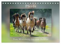 Pferde Vom Minishetty bis zum Kaltblut (Tischkalender 2025 DIN A5 quer), CALVENDO Monatskalender