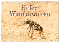 Käfer-Wunderwelten (Tischkalender 2026 DIN A5 quer), CALVENDO Monatskalender