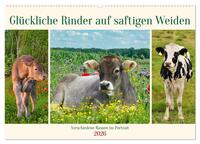 Glückliche Rinder auf saftigen Weiden (Wandkalender 2026 DIN A2 quer), CALVENDO Monatskalender