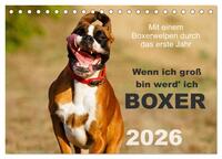 Wenn ich groß bin werd' ich Boxer (Tischkalender 2026 DIN A5 quer), CALVENDO Monatskalender