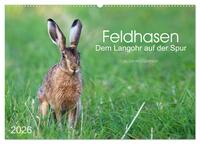 Feldhasen - dem Langohr auf der Spur (Wandkalender 2026 DIN A2 quer), CALVENDO Monatskalender