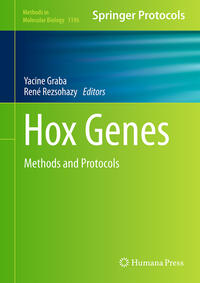 Hox Genes