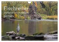 Der Fischreiher im Naturschutzgebiet der Nahe (Wandkalender 2025 DIN A4 quer), CALVENDO Monatskalender