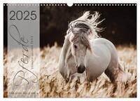 Spiegel deiner Seele (Wandkalender 2025 DIN A3 quer), CALVENDO Monatskalender