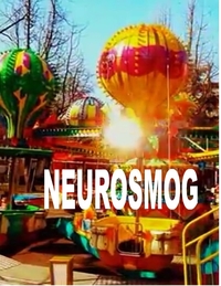 Vorderes Coverbild Neurosmog