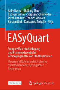 EASyQuart - Energieeffiziente Auslegung und Planung dezentraler Versorgungsnetze von Stadtquartieren