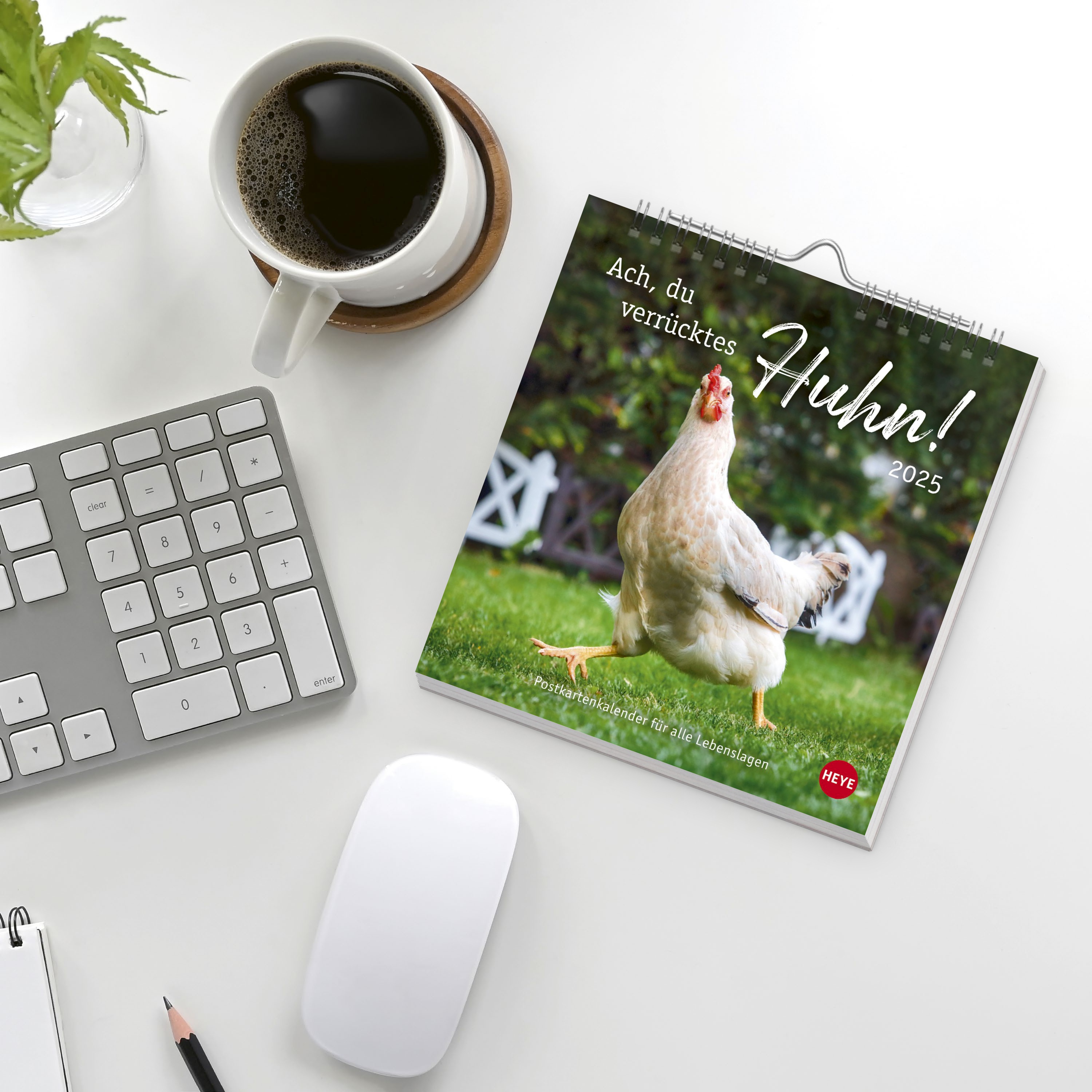 Hühner Postkartenkalender 2025 - Ach, du verrücktes Huhn!