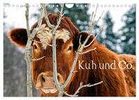 Kuh und Co. (Wandkalender 2026 DIN A4 quer), CALVENDO Monatskalender