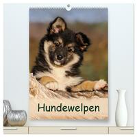 Hundewelpen (hochwertiger Premium Wandkalender 2026 DIN A2 hoch), Kunstdruck in Hochglanz