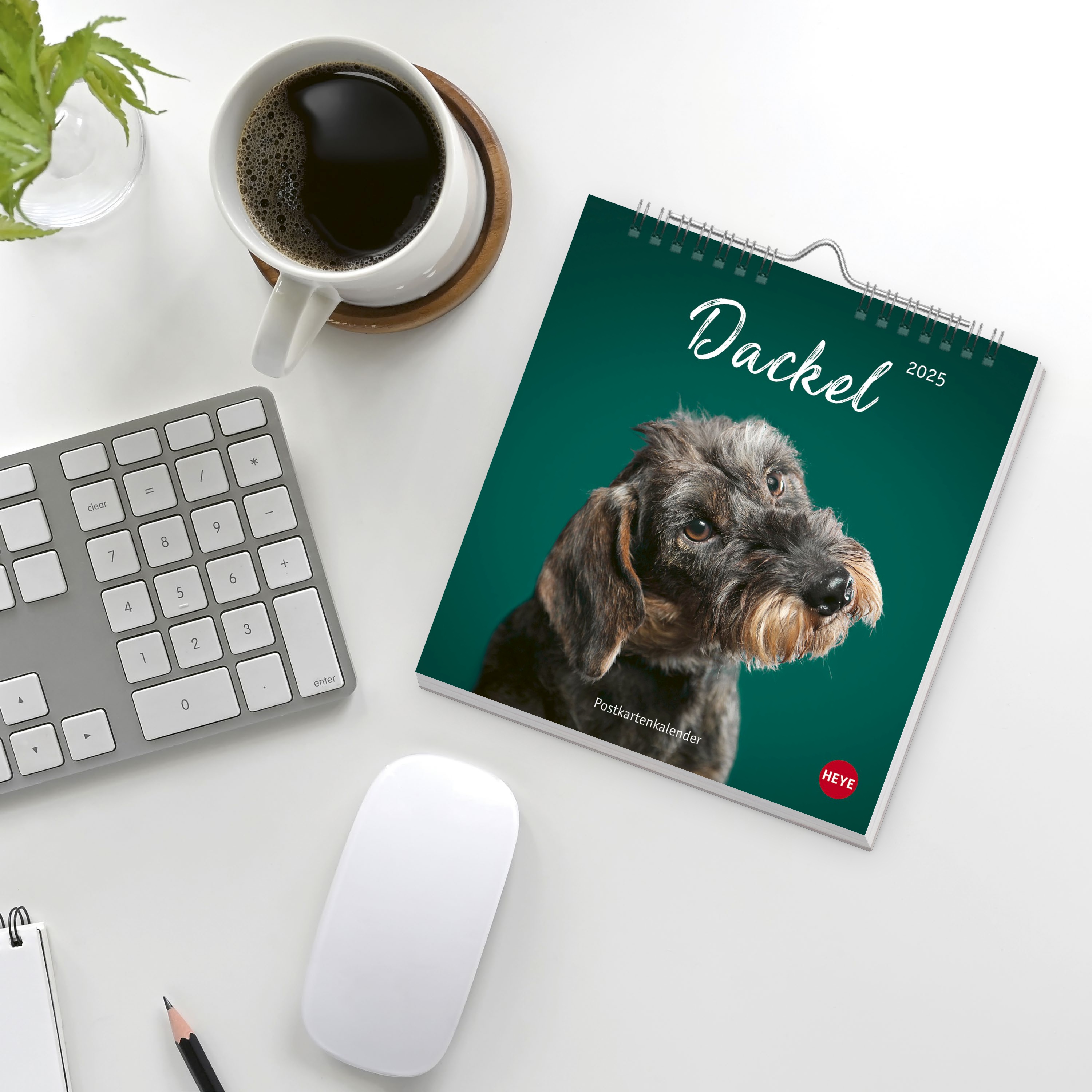 Dackel Postkartenkalender 2025