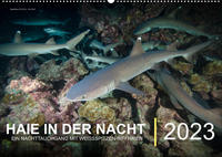 Haie in der Nacht (Wandkalender immerwährend DIN A2 quer)
