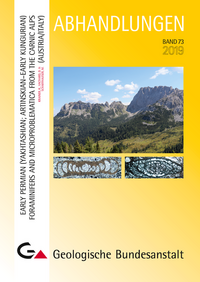 Early Permian (Yakhtashian, Artinskian–early Kungurian) foraminifers and microproblematica from the Carnic Alps (Austria/Italy)