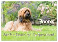 Briards - sanfte Riesen mit Temperament (Tischkalender 2026 DIN A5 quer), CALVENDO Monatskalender