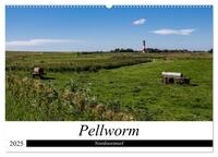 Vorderes Coverbild Nordseeinsel Pellworm 2025 (Wandkalender 2025 DIN A2 quer), CALVENDO Monatskalender
