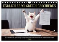 Endlich erfolgreich geschieden (Wandkalender 2025 DIN A4 quer), CALVENDO Monatskalender