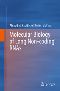 Molecular Biology of Long Non-coding RNAs