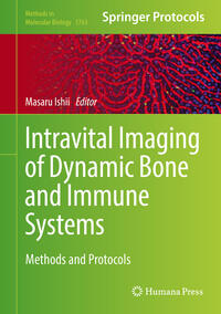 Intravital Imaging of Dynamic Bone and Immune Systems