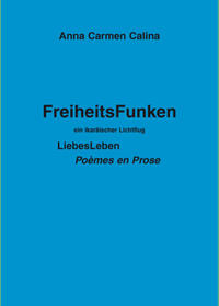 FreiheitsFunken - ein ikaräischer LichtFlug