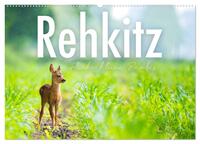Rehkitz - Flinke kleine Bambis. (Wandkalender 2026 DIN A2 quer), CALVENDO Monatskalender