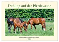Frühling auf der Pferdeweide (Wandkalender 2025 DIN A2 quer), CALVENDO Monatskalender
