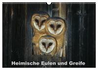 Heimische Eulen und Greife (Wandkalender 2025 DIN A3 quer), CALVENDO Monatskalender