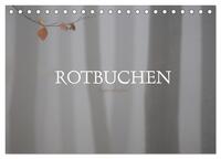 Rotbuchen (Tischkalender 2025 DIN A5 quer), CALVENDO Monatskalender