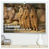 Erdmännchen – Zusammen sind wir stark / CH-Version (hochwertiger Premium Wandkalender 2025 DIN A2 quer), Kunstdruck in Hochglanz