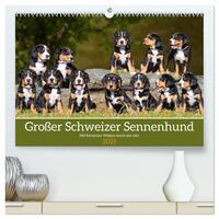 Großer Schweizer Sennenhund - Mit Schweizer Welpen durch das Jahr (hochwertiger Premium Wandkalender 2025 DIN A2 quer), Kunstdruck in Hochglanz