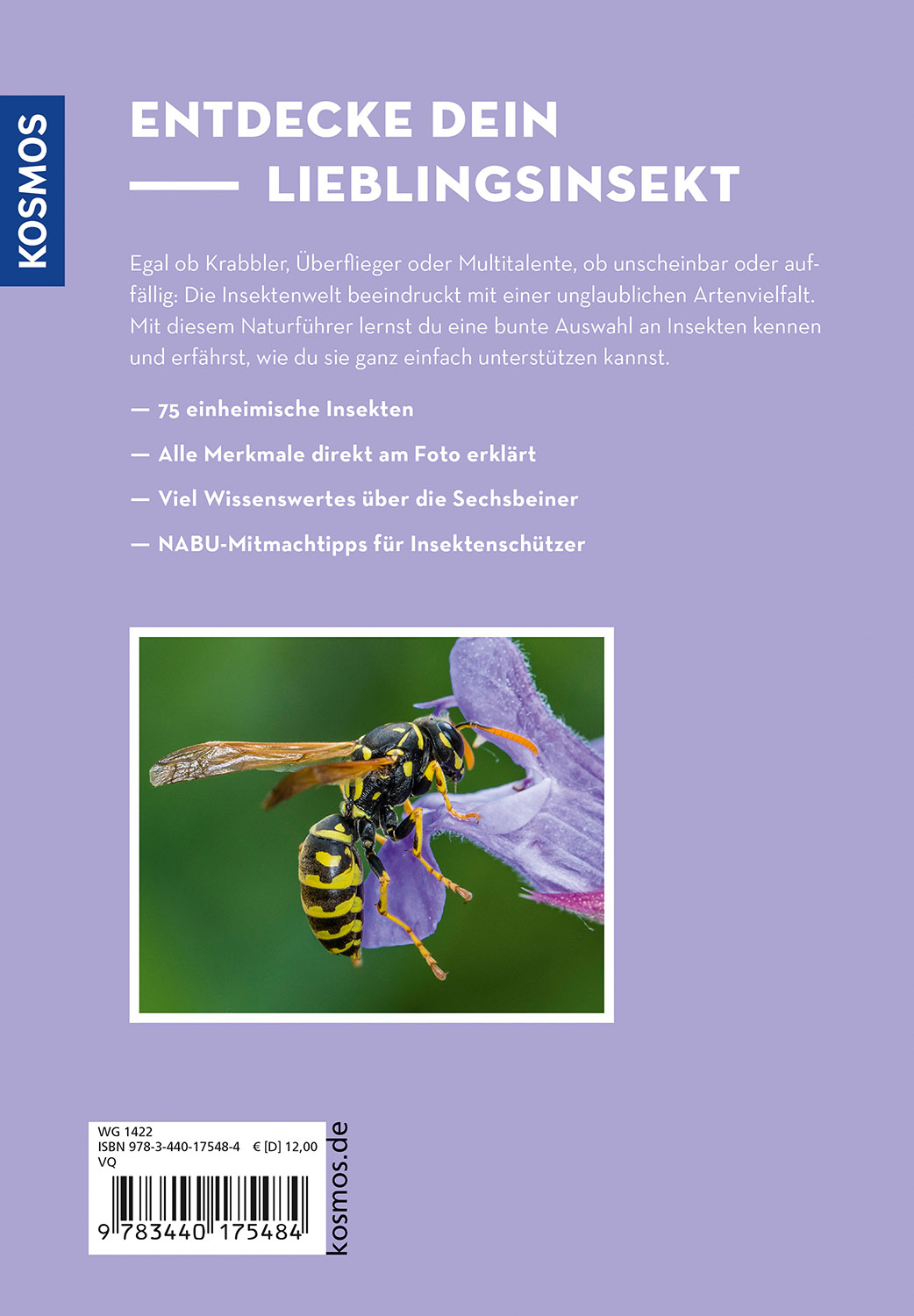 Rückseitencover Wer summt denn hier?