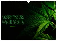 Vorderes Coverbild Faszination Cannabis (Wandkalender 2025 DIN A3 quer), CALVENDO Monatskalender