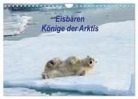 Eisbären - Könige der Arktis (Wandkalender 2026 DIN A4 quer), CALVENDO Monatskalender