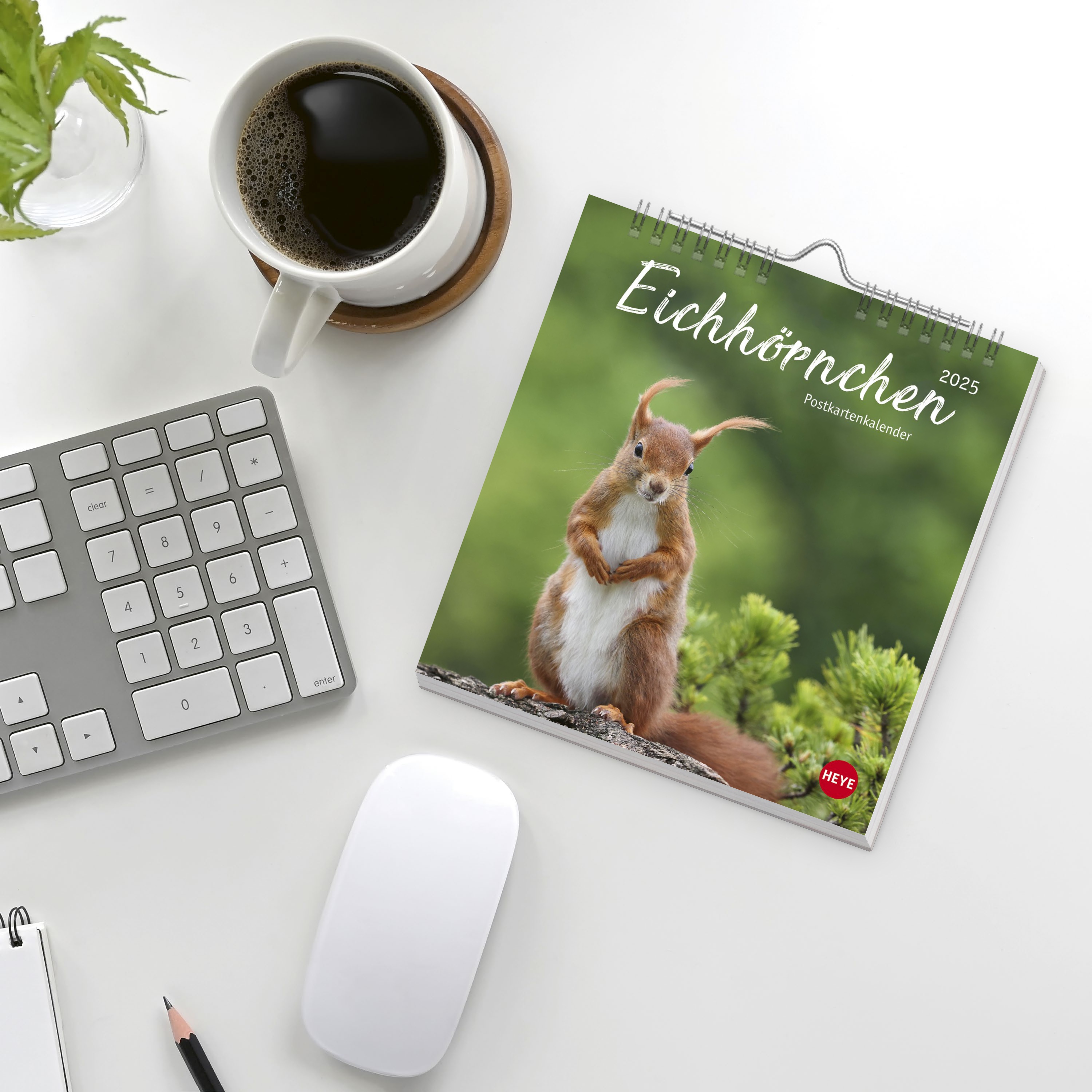 Eichhörnchen Postkartenkalender 2025