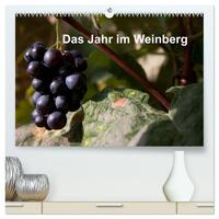 Das Jahr im Weinberg (hochwertiger Premium Wandkalender 2025 DIN A2 quer), Kunstdruck in Hochglanz