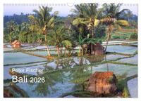 Peter Fischer - Bali 2026 (Wandkalender 2026 DIN A3 quer), CALVENDO Monatskalender