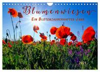 Blumenwiesen – ein blütenzauberhaftes Jahr (Wandkalender 2025 DIN A4 quer), CALVENDO Monatskalender