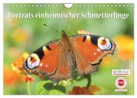 GEOclick Lernkalender: Porträts einheimischer Schmetterlinge (Wandkalender 2025 DIN A4 quer), CALVENDO Monatskalender