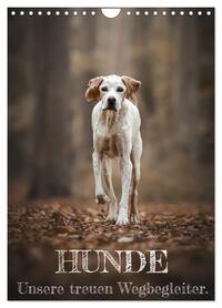 Hunde - Unsere treuen Wegbegleiter. (Wandkalender 2026 DIN A4 hoch), CALVENDO Monatskalender