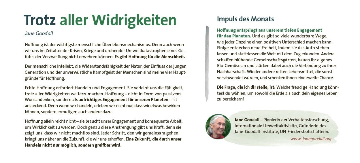 Bild für Serie Pioneers of Change Wandkalender 2025
