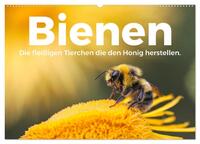Bienen - Die fleißigen Tierchen die den Honig herstellen. (Wandkalender 2025 DIN A2 quer), CALVENDO Monatskalender