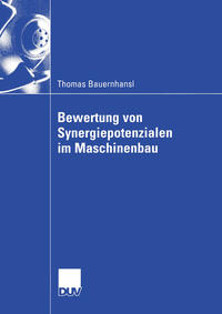 Vorderes Coverbild Bewertung von Synergiepotenzialen im Maschinenbau