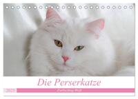 Vorderes Coverbild Die Perserkatze - Farbschlag Weiß (Tischkalender 2025 DIN A5 quer), CALVENDO Monatskalender