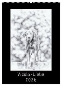 Vizsla-Liebe (Wandkalender 2026 DIN A2 hoch), CALVENDO Monatskalender