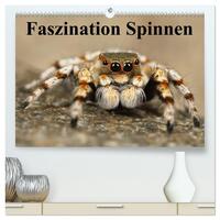 Faszination Spinnen (hochwertiger Premium Wandkalender 2026 DIN A2 quer), Kunstdruck in Hochglanz