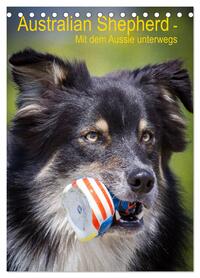 Australian Shepherd – Mit dem Aussie unterwegs (Tischkalender 2026 DIN A5 hoch), CALVENDO Monatskalender