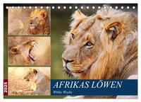 Afrikas Löwen 2025 (Tischkalender 2025 DIN A5 quer), CALVENDO Monatskalender