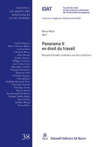 Panorama II en droit du travail