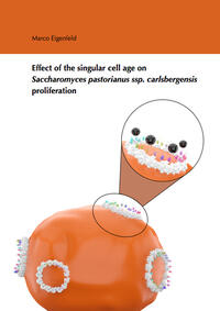 Effect of the singular cell age on Saccharomyces pastorianus ssp. carlsbergensis proliferation